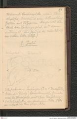 Seite 85, Tagebuch "Mießlingtal b[ei Spitz]" (NHMW-PRAE-BBB-28)